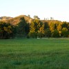 Large Open Field - Northeast Facing - Mountains - Mature Trees - Water Tower