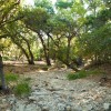 Dry Riverbed - River stone - Natural Area