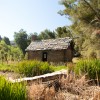 Log Cabin - Northeast View