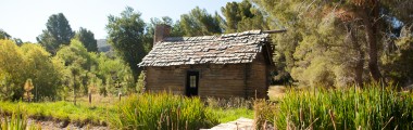 Log Cabin - Northeast View