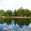 Pine Lake - Water - Reflection - Pine Trees