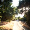 Plateau Road - Dirt Road - Trees - Mountains - North Traveling