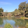 Covered Bridge From Afar