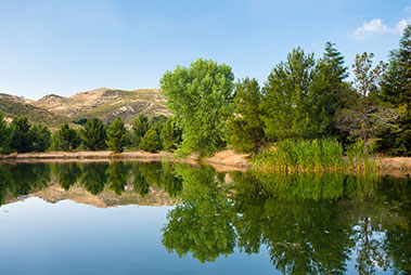 Natural Areas