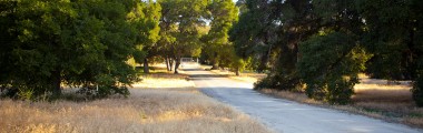 Wrangler's Gate - West Entrance - Placerita Canyon Road - Metal Gate